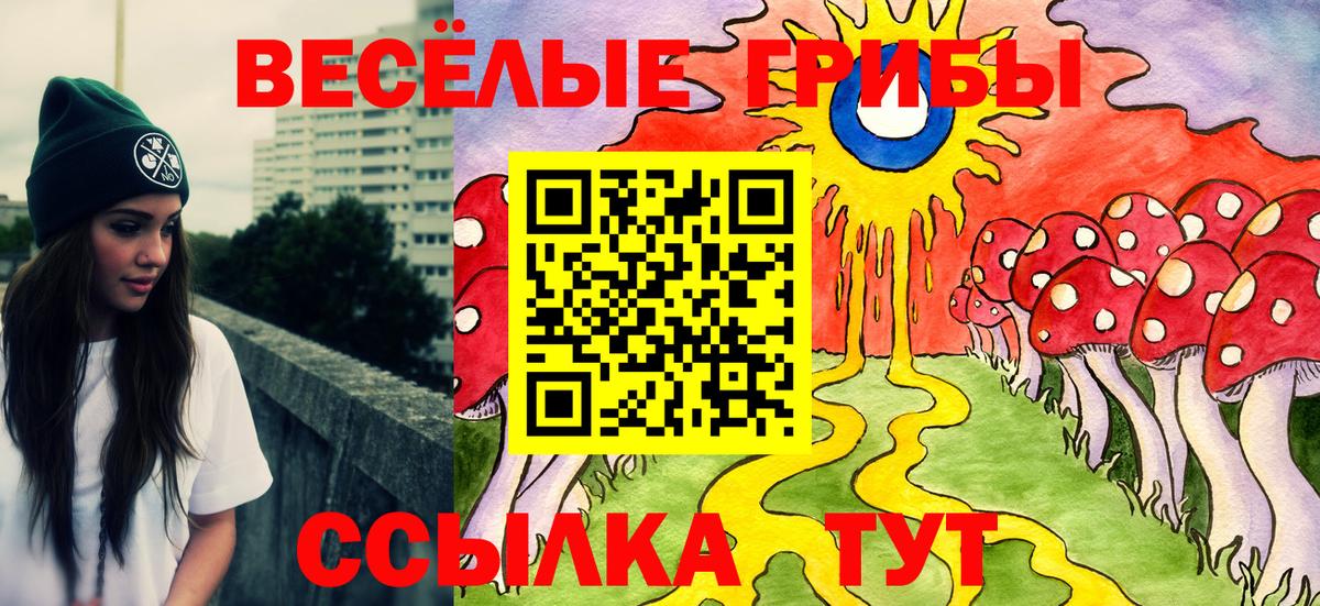 Псилоцибиновые грибы Psilocybe Бирск